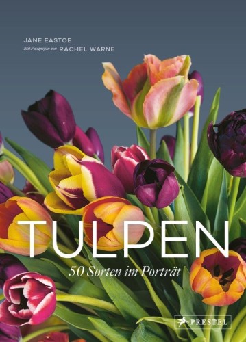 Artikelbild des Artikels “Tulpen “