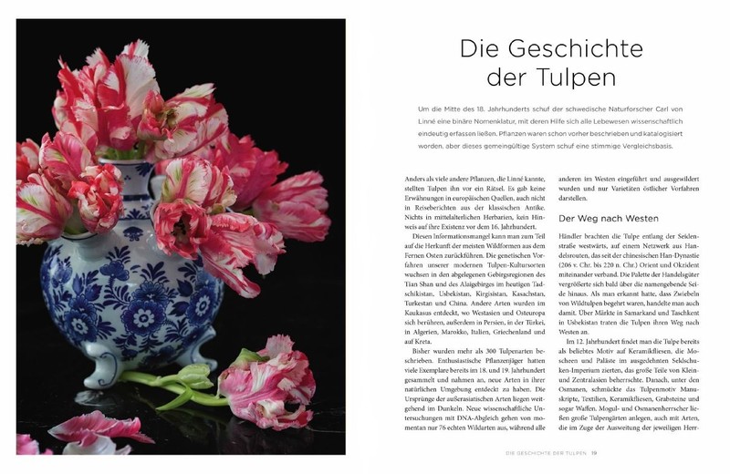 Artikelbild 3 des Artikels “Tulpen “