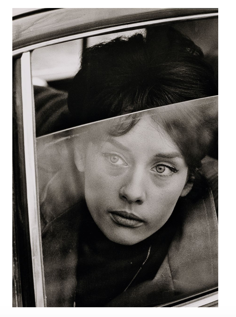 Artikelbild 3 des Artikels “Das Karussell der Tiere “